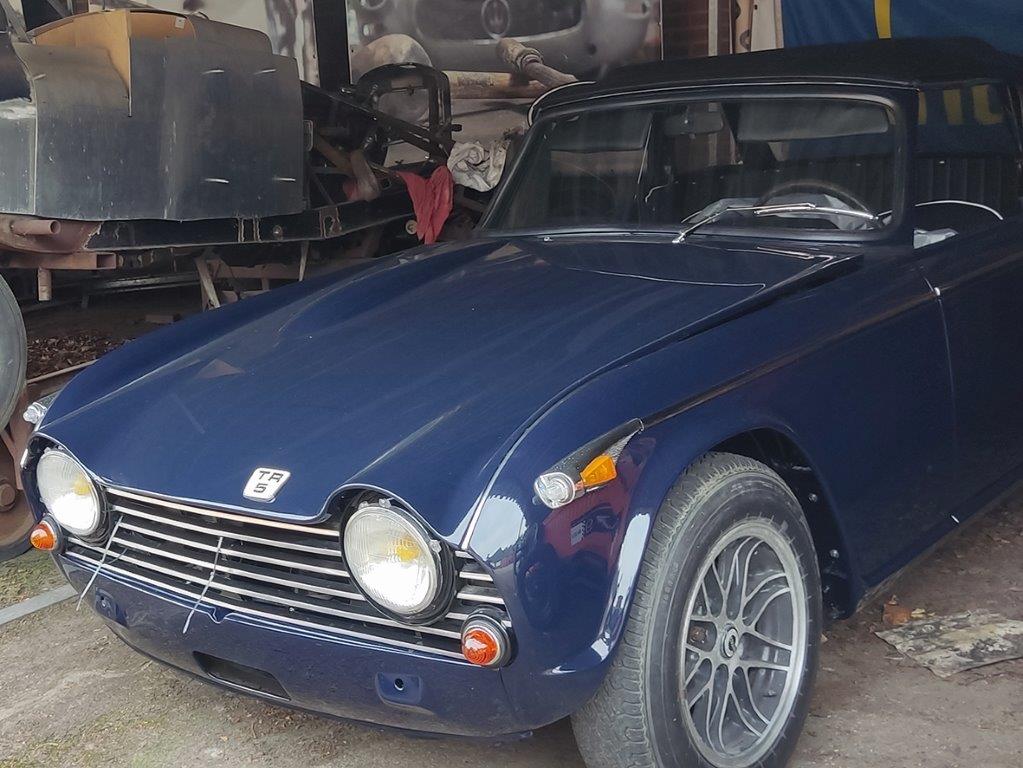 Triumph TR5